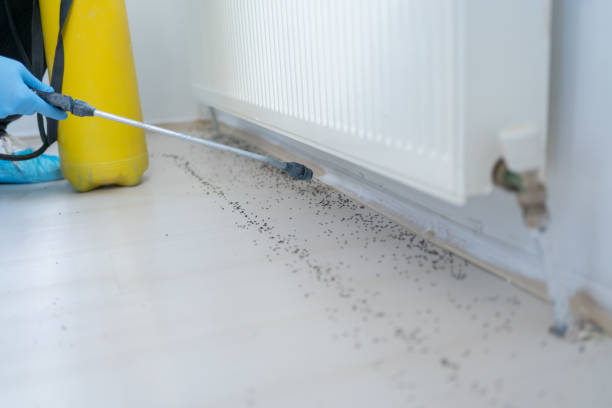 Best Mosquito Control Services  in Toledo, OH